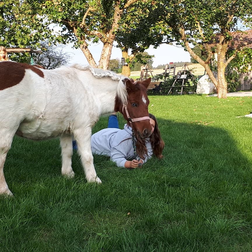 Ponyreiten